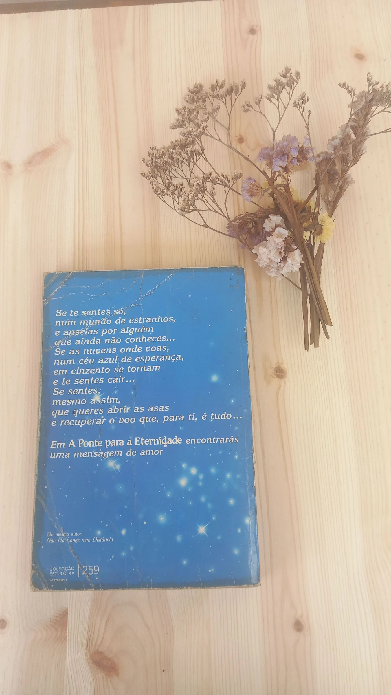 A Ponte para a Eternidade, Richard Bach – photo 2